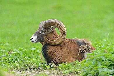 《尘封大陆》实机演示欣赏 Deck13介绍全新游戏细节