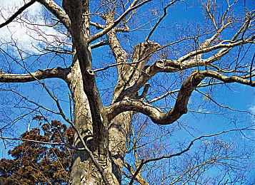 《双点校园》“医学院”DLC正式发售 新地点新课程